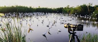 Bird Watching Tours 2