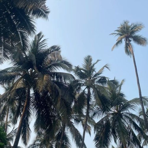Gorai beach 2