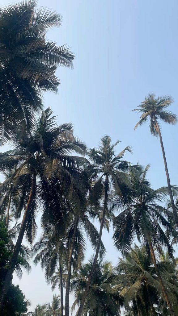 Gorai beach 2