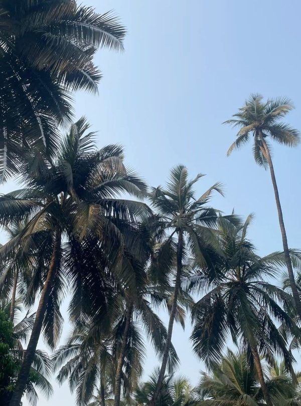 Gorai beach 2
