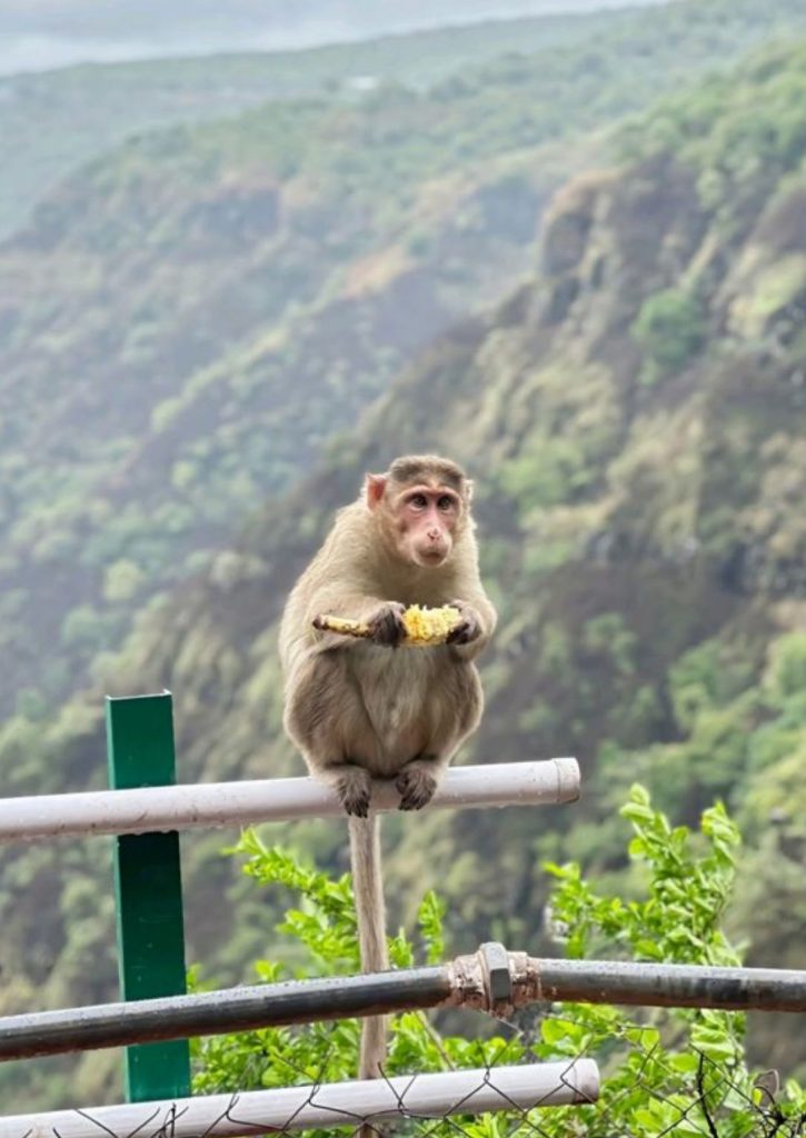 Panchgani 2