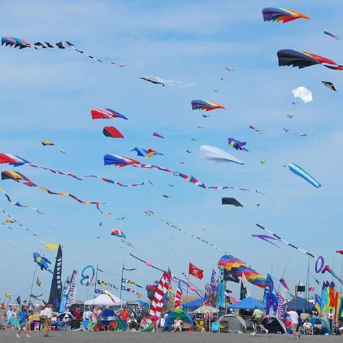 Makar Sankranti