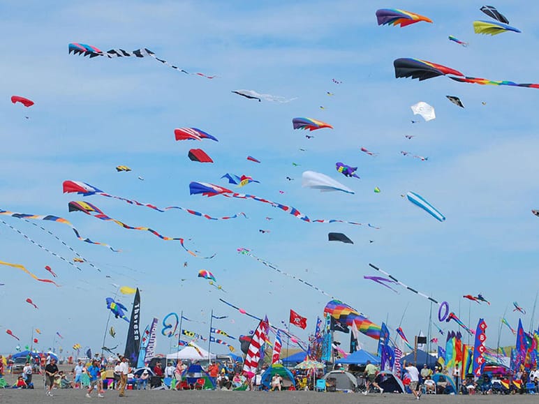 Makar Sankranti