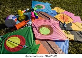 Makar Sankranti 1