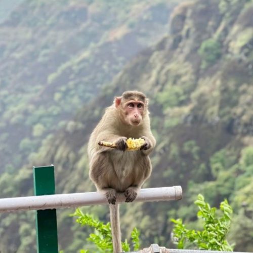 Panchgani 2