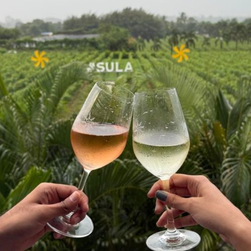 Sula Vineyard Tour 4