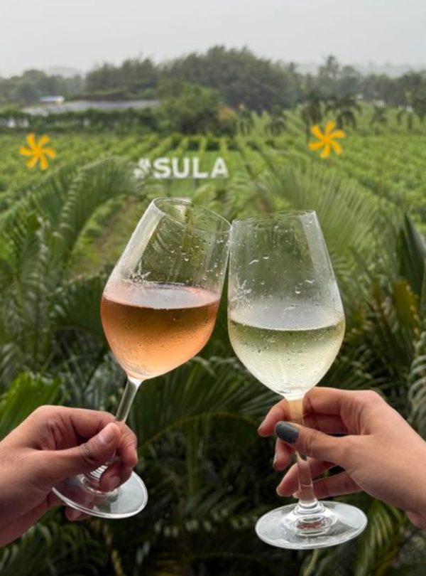 Sula Vineyard Tour 4